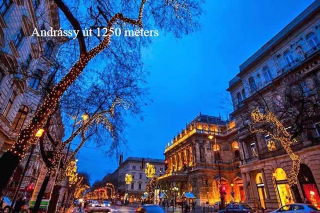 Keleti Apartment City Center Big Flat Bedroom Private Use Βουδαπέστη Εξωτερικό φωτογραφία
